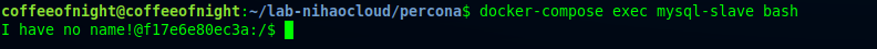 docker compose exec slave