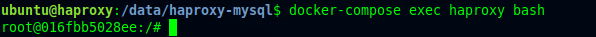 docker exec haproxy load balance mysql