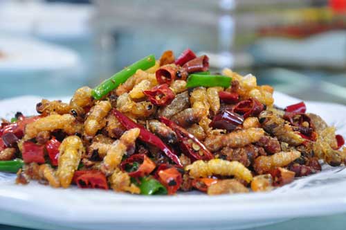Exotic Foods of China You Need To Try