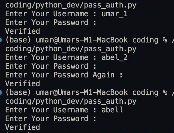 python auth system user login