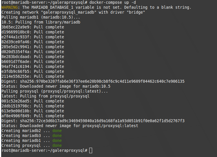 mariadb galera with docker