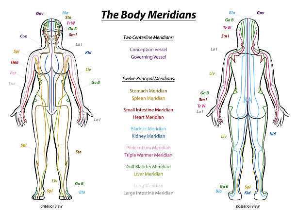 What is Qi? Definition of Qi in Traditional Chinese Medicine