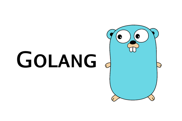 Mastering Input/Output in GoLang: An In-Depth Guide to Interacting with External Data Sources
