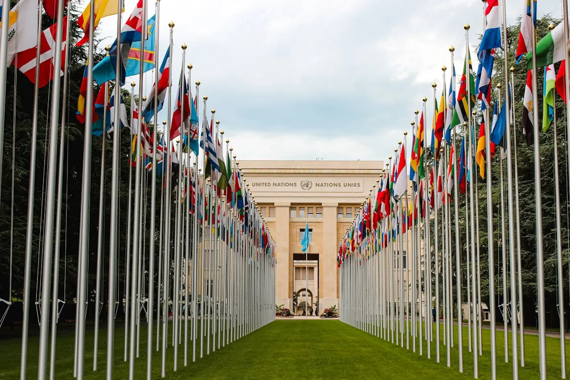 This photo shows the United Nations headquarters in Geneva, Switzerland, with a symmetrical display of numerous national flags lining a pathway leading to the main building. The setting emphasizes international unity, making it ideal for articles related to global cooperation, diplomacy, and international organizations.