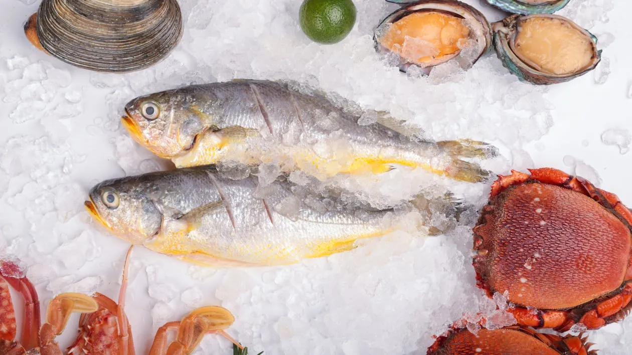Fresh seafood platter featuring shellfish and fish from Shandong cuisine