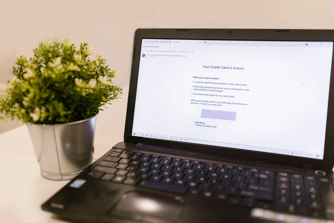 Developer writing secure code for financial web app