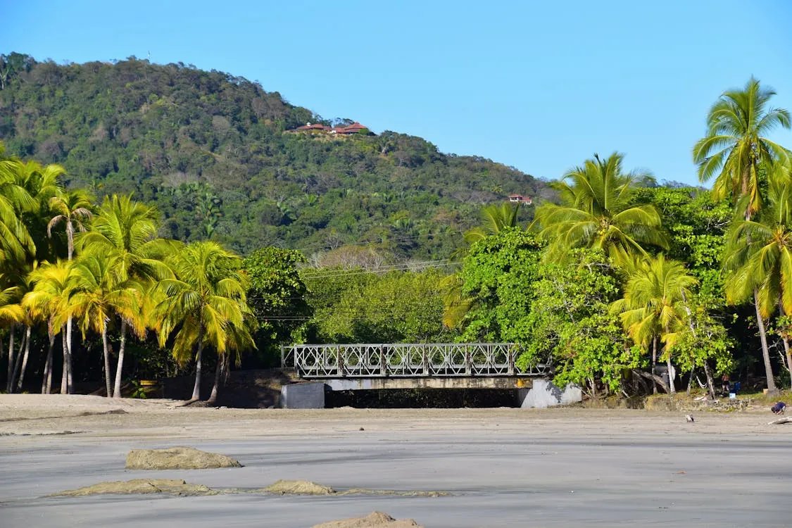 Tropical beach in Costa Rica with palm trees and turquoise water
