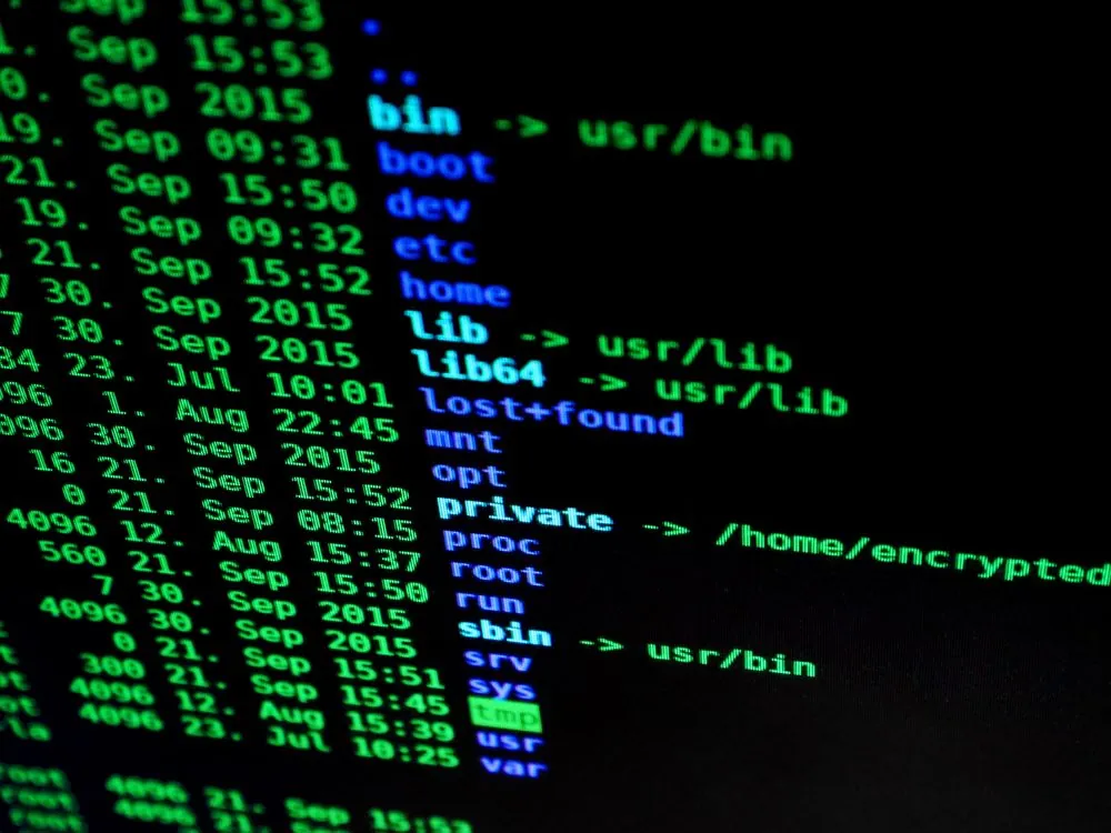 Terminal showing command-line output of npm commands