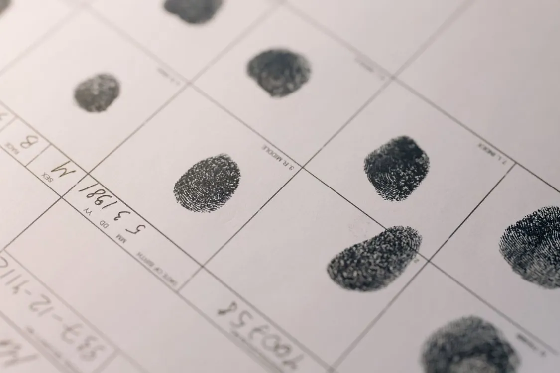Digital fingerprint and watermark concept for AI content provenance