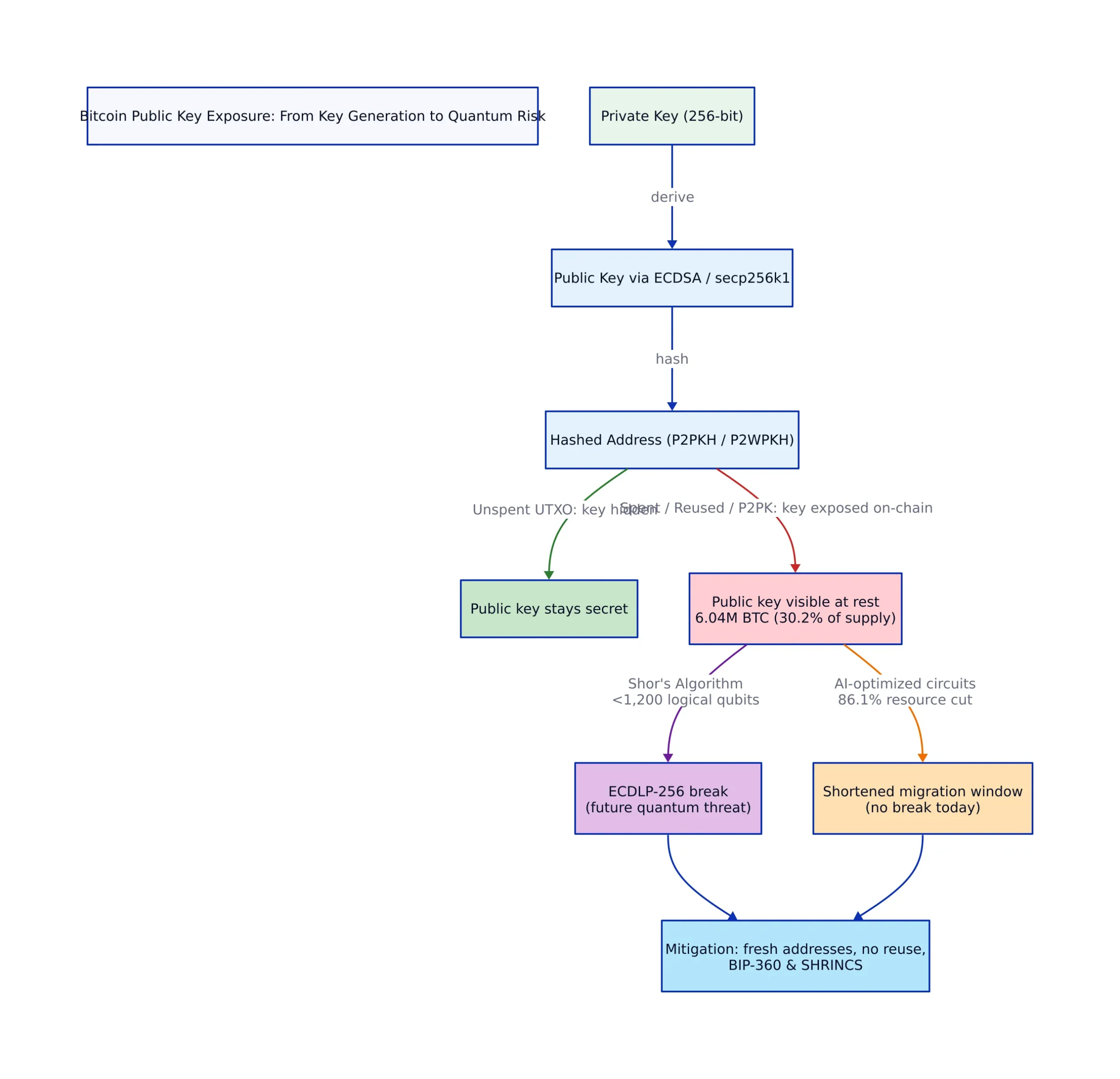 Where On-Chain Public Key Exposure Comes From