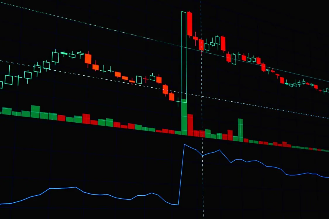 Bull market rally trading charts showing record highs